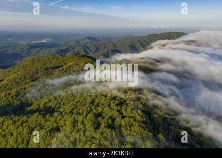 Nebbia causata dal vento marittimo che scivola sul monte Montnegre al tramonto (Vallès Oriental, Barcellona, Catalogna, Spagna) Foto Stock