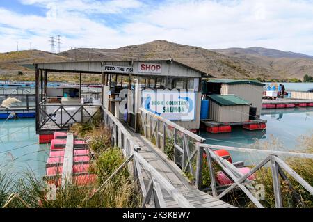 Una fattoria di salmone a conduzione familiare, il salmone di alta campagna sul canale Pukaki-Tekapo, dove i visitatori possono nutrire i pesci nelle loro penne e acquistare prodotti a base di salmone Foto Stock