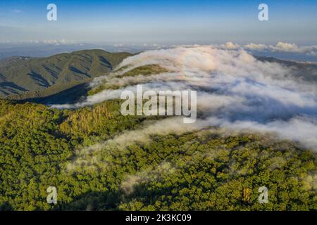 Nebbia causata dal vento marittimo che scivola sul monte Montnegre al tramonto (Vallès Oriental, Barcellona, Catalogna, Spagna) Foto Stock