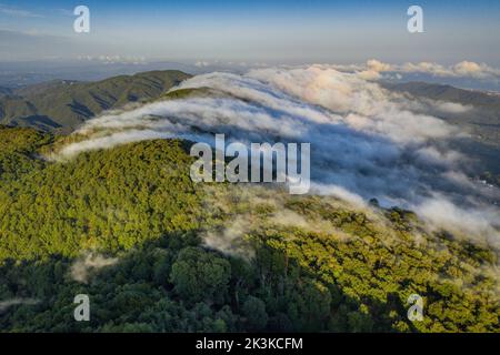 Nebbia causata dal vento marittimo che scivola sul monte Montnegre al tramonto (Vallès Oriental, Barcellona, Catalogna, Spagna) Foto Stock