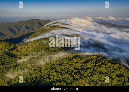 Nebbia causata dal vento marittimo che scivola sul monte Montnegre al tramonto (Vallès Oriental, Barcellona, Catalogna, Spagna) Foto Stock