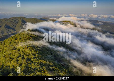 Nebbia causata dal vento marittimo che scivola sul monte Montnegre al tramonto (Vallès Oriental, Barcellona, Catalogna, Spagna) Foto Stock