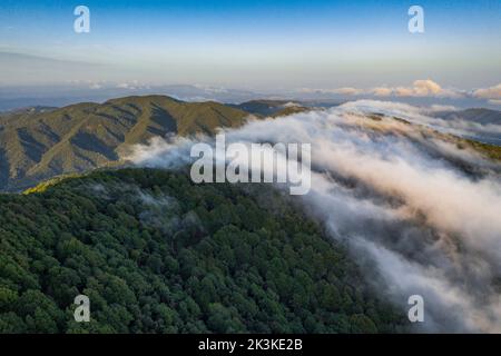 Nebbia causata dal vento marittimo che scivola sul monte Montnegre al tramonto (Vallès Oriental, Barcellona, Catalogna, Spagna) Foto Stock