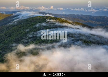 Nebbia causata dal vento marittimo che scivola sul monte Montnegre al tramonto (Vallès Oriental, Barcellona, Catalogna, Spagna) Foto Stock