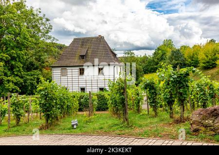 Passeggiate attraverso i parchi di Bad Sulza - Turingia - Germania Foto Stock