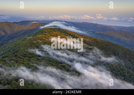 Nebbia causata dal vento marittimo che scivola sul monte Montnegre al tramonto (Vallès Oriental, Barcellona, Catalogna, Spagna) Foto Stock