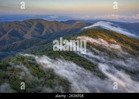 Nebbia causata dal vento marittimo che scivola sul monte Montnegre al tramonto (Vallès Oriental, Barcellona, Catalogna, Spagna) Foto Stock