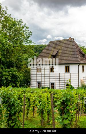 Passeggiate attraverso i parchi di Bad Sulza - Turingia - Germania Foto Stock