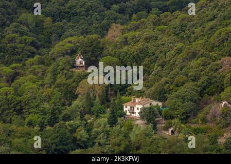 Case circondate dalla foresta di Montnegre, visto da Hortsavinyà (Tordera, Maresme, Barcellona, Catalogna, Spagna) ESP: Casas y bosque en el Montnegre Foto Stock