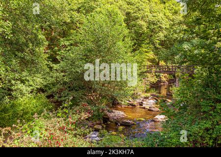 La Coleridge Way accanto al fiume East Lyn sul Parco Nazionale Exmoor a Rockford, Devon, Regno Unito Foto Stock