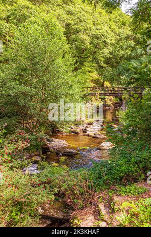La Coleridge Way accanto al fiume East Lyn sul Parco Nazionale Exmoor a Rockford, Devon, Regno Unito Foto Stock