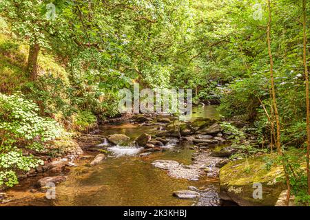 Il fiume East Lyn accanto alla Coleridge Way sul Parco Nazionale Exmoor a Rockford, Devon, Regno Unito Foto Stock
