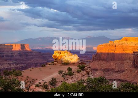 La luce del tramonto sullo Shafer Canyon si affaccia sull'Isola nello Sky District, il Parco Nazionale delle Canyonlands, Utah. Dead Horse Point sulla sinistra con la S Foto Stock