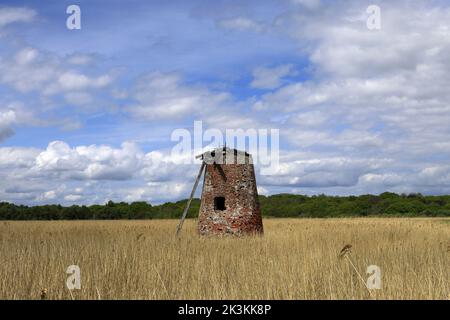 Vista sulla riserva naturale nazionale di Walberswick, sul villaggio di Walberswick, sulla contea di Suffolk, Inghilterra, Regno Unito Foto Stock