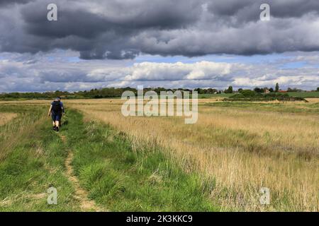 Vista sulla riserva naturale nazionale di Walberswick, sul villaggio di Walberswick, sulla contea di Suffolk, Inghilterra, Regno Unito Foto Stock