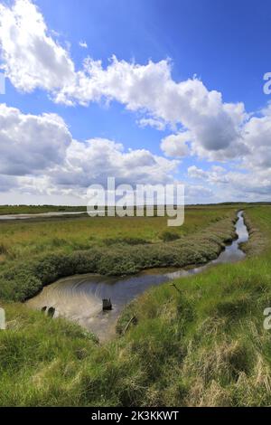 Vista sulla riserva naturale nazionale di Walberswick, sul villaggio di Walberswick, sulla contea di Suffolk, Inghilterra, Regno Unito Foto Stock