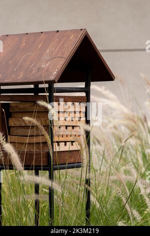 Casa di riposo per le api, alveare per le api. Rest per insetti, casa per api, cura per api nella forma di una casa. Si prenda cura degli insetti nel vostro giardino Foto Stock