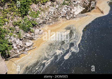 Inquinamento ai margini del fiume Usk ad Abergavenny,. Galles, Regno Unito Foto Stock