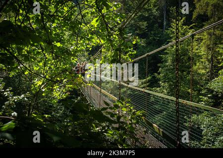 Un gruppo di turisti che camminano lungo un ponte di ferro sul fiume Hornad a Prielom Hornadu in Paradiso Slovacco, Slovacchia Foto Stock