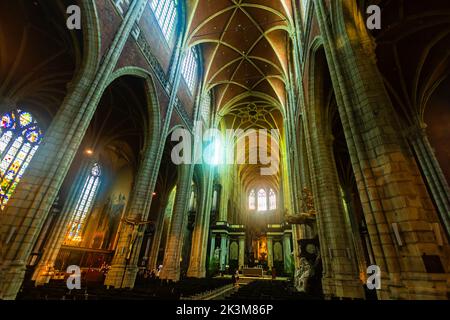 Interno della Cattedrale di San Bavo, Gand, Belgio Foto Stock