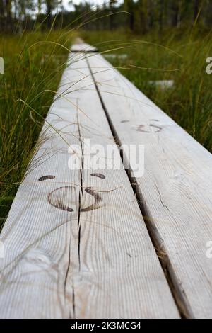 Zoccoli di renne della foresta finlandese sono stampati su un percorso sul lungomare nel Parco Nazionale di Salamajärvi in Finlandia Foto Stock