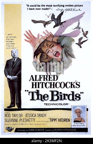 Gli uccelli 1963. Il poster del film sugli uccelli. Alfred Hitchcock, Tippi Hedren Foto Stock