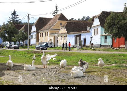 Il villaggio sassone rurale di Viscri in Transilvania, dove il principe Carlo, ora re, possiede una proprietà per contribuire a garantire il suo futuro sostenibile, in Romania Foto Stock