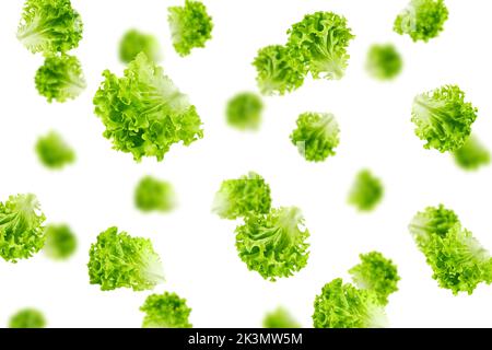 Insalata cadente, foglia di lattuga, isolato su sfondo bianco, fuoco selettivo Foto Stock