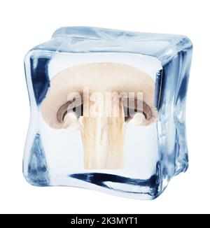 champignon, fungo in cubetto di ghiaccio, isolato su sfondo bianco, percorso di ritaglio, profondità di campo completa Foto Stock
