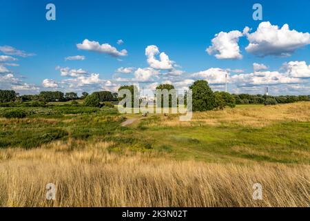 Prati del Reno Duisburg-Rheinhausen, sullo sfondo il porto parallelo, porto esterno, NRW, Germania, Foto Stock