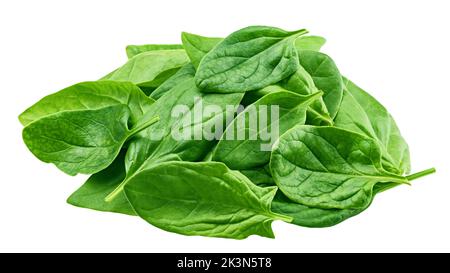 Spinaci isolati su sfondo bianco, percorso di ritaglio, profondità di campo completa Foto Stock