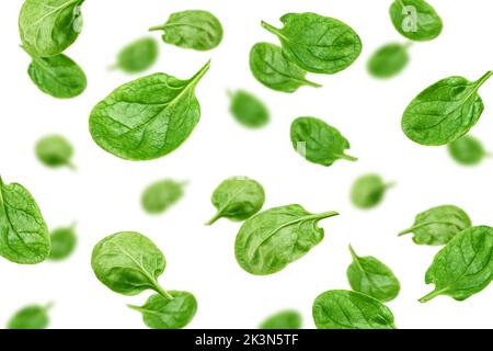 Spinaci cadenti isolati su sfondo bianco, fuoco selettivo Foto Stock