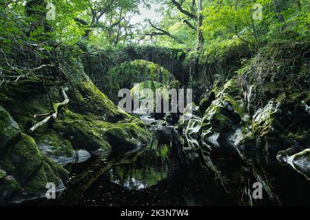 Tranquilla scena in un ponte medievale a cavallo mossy a Penmachno, Galles del Nord Foto Stock