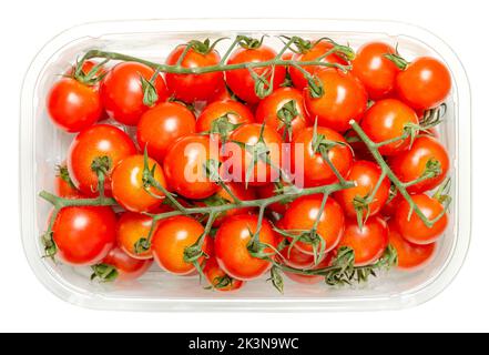 Pomodori ciliegini sulla vite in contenitore di plastica trasparente, dall'alto, isolato su bianco. Tipo fresco e maturo di pomodori da cocktail rossi piccoli e tondi. Foto Stock