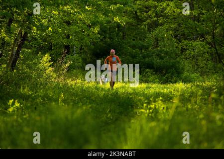 donna che corre in un campo verde nella foresta con un cane Foto Stock