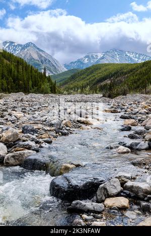 Il ruscello glaciale attraversa il campo roccioso di morraine e il ventilatore alluvionale; il lago Muncho; la Columbia Britannica; il Canada Foto Stock