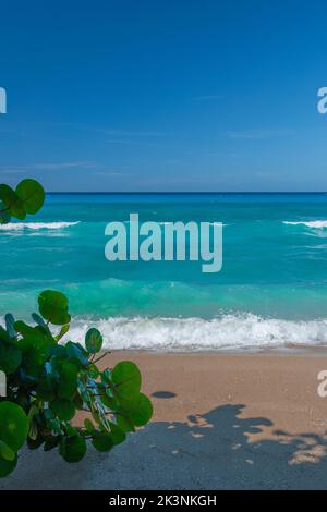 St. Croix Azure Waters Deep Blue Sky Sunny Day con uva di mare Foto Stock