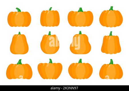 Icone piatte di zucca. Kit segno di Halloween. Raccolta di pittogrammi per il ringraziamento, raccolta di zucche per il primo piano, verdure. Semplice cartoon zucca icona colorata simbolo isolato su sfondo bianco Illustrazione Vettoriale