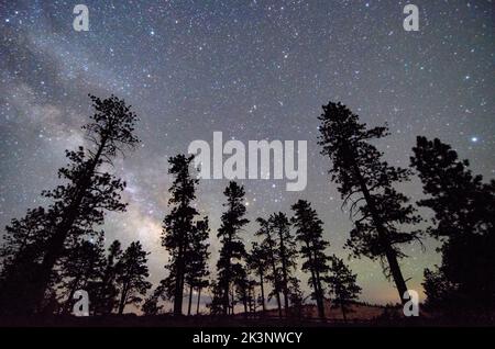 La Via Lattea e il cielo notturno, visti dal cielo scuro del Bryce Canyon National Park nello Utah, Stati Uniti Foto Stock