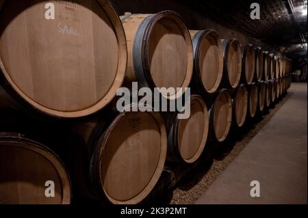 Fasi di produzione del vino dalla fermentazione all'imbottigliamento, visita alle cantine di Cote d'Or, Borgogna, Francia, affinamento in botti di legno. Foto Stock