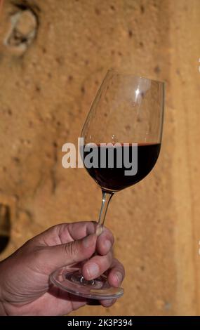 Degustazione di vino rosso da parte di un vecchio enologo nella regione di Pierres Dorées con case di pietra gialla a sud della regione di Beaujolais, Francia, regione di appelation del vino Foto Stock