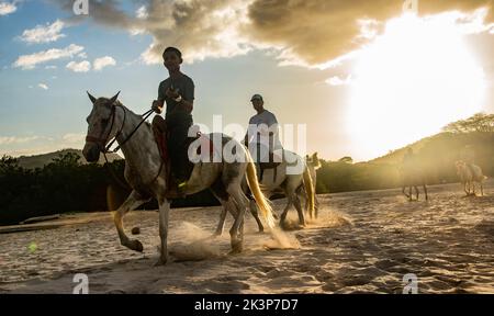 Equitazione a Playa Conchal, Guanacaste, Costa Rica Foto Stock