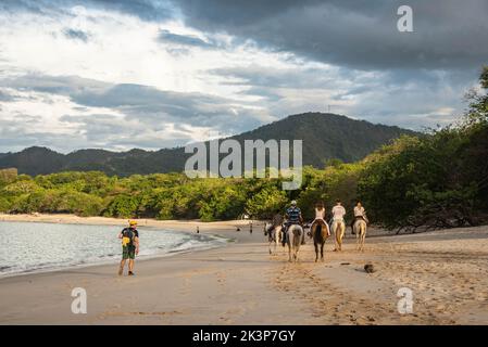 Equitazione a Playa Conchal, Guanacaste, Costa Rica Foto Stock