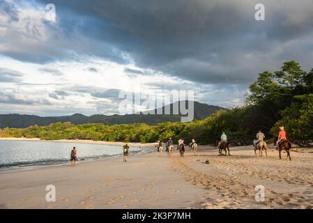 Equitazione a Playa Conchal, Guanacaste, Costa Rica Foto Stock