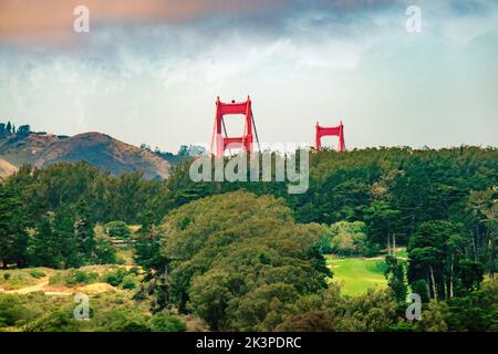 Vista parziale delle torri alte 746 piedi del Golden Gate Bridge da dietro gli alberi, con un campo da golf in primo piano, San Francisco, Califor Foto Stock