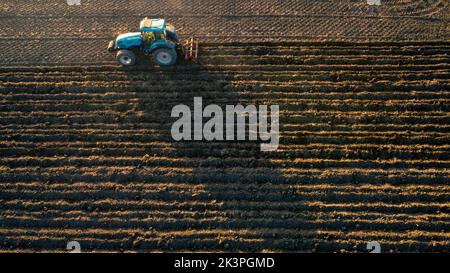 coltivatore con trattore livellare terra in campagna. Foto Stock