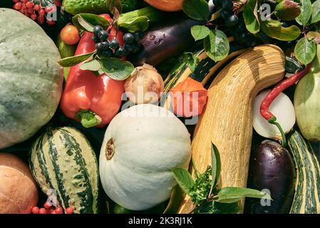 Verdure autunnali mature e bacche sono disposti sul tavolo. Vista dall'alto. Sfondo di fresco Vegets.The concetto di uno stile di vita sano. Foto Stock