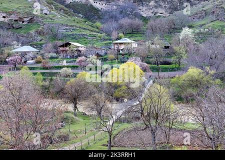 Un villaggio tradizionale in una bella valle in colori primavera con alberi in piena fioritura vicino al monastero grotta Vardzia in Georgia Foto Stock