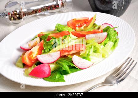 gustosa insalata di verdure vegetariana con cetrioli, pomodori, peperoni, ravanelli Foto Stock