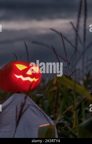Una spaventosa Jack-o'-lanterna fatta da una zucca in un campo di mais di notte. Creepy Halloween concetto. Foto Stock